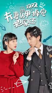 夫妻马甲双双掉完把家还