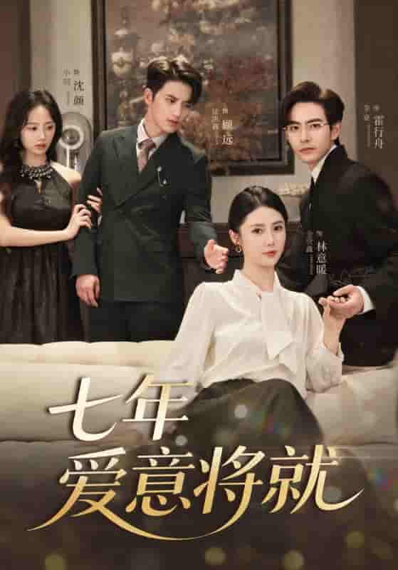 七年爱意将就