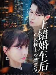 上错婚车后我赖上冷酷谭爷